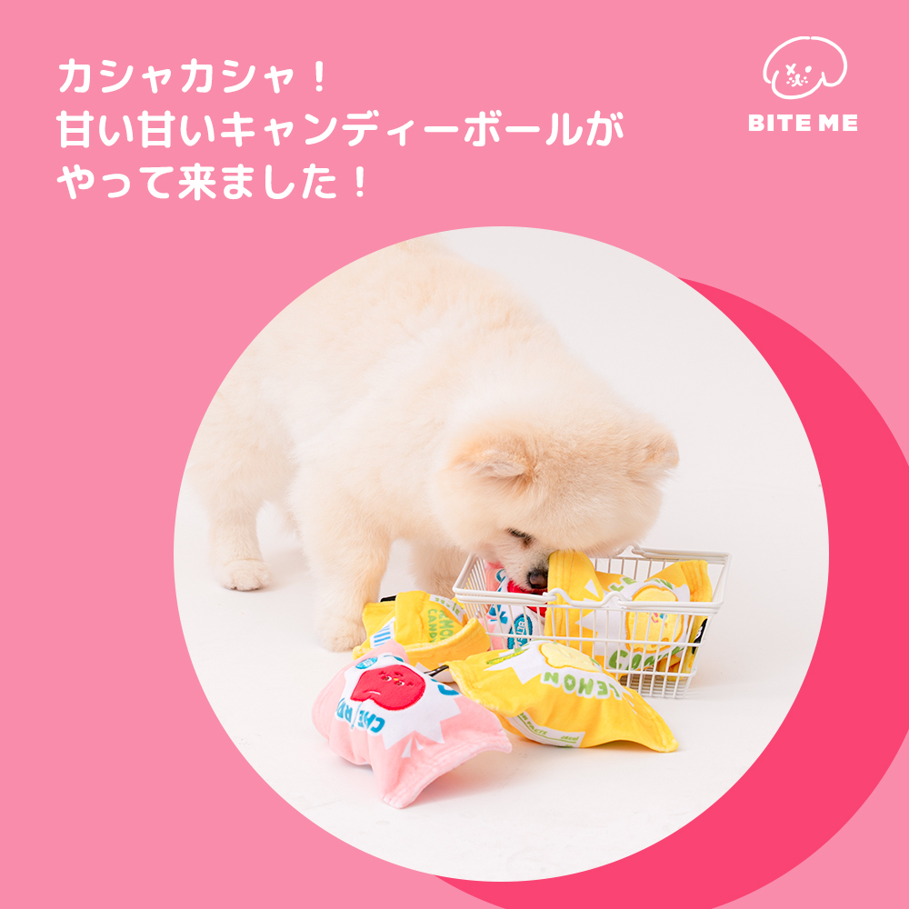 クランチキャンディボール | ペット用の食品・用品・衣類